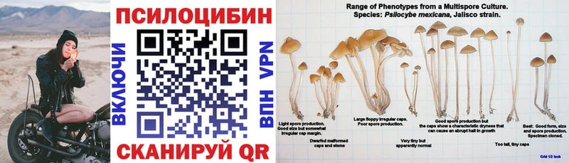 Галлюциногенные грибы Magic Shrooms  Лянтор 